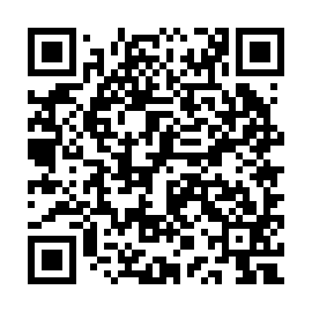 QR code for QPU293