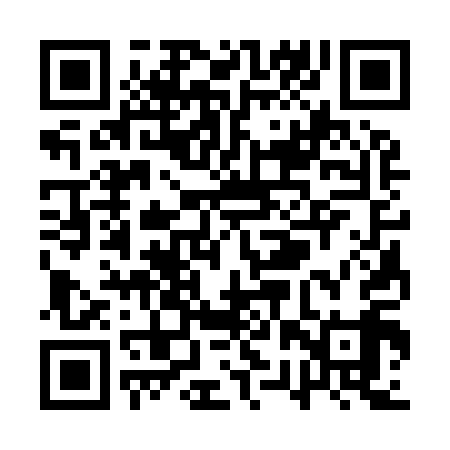 QR code for QRS919