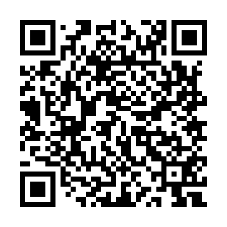 QR code for QZJ951