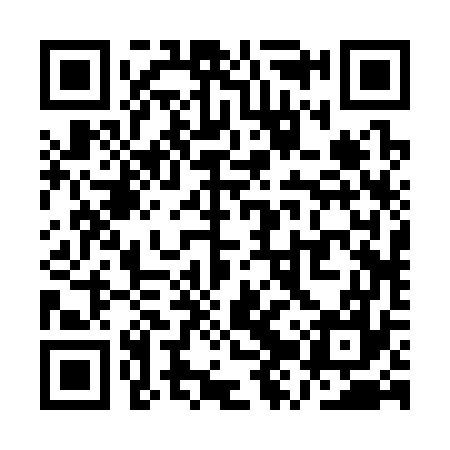 QR code for QZR377