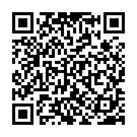 QR code for RAO991