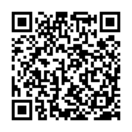 QR code for RCZ595