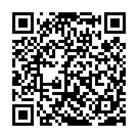 QR code for REI495