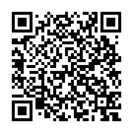 QR code for RIC335