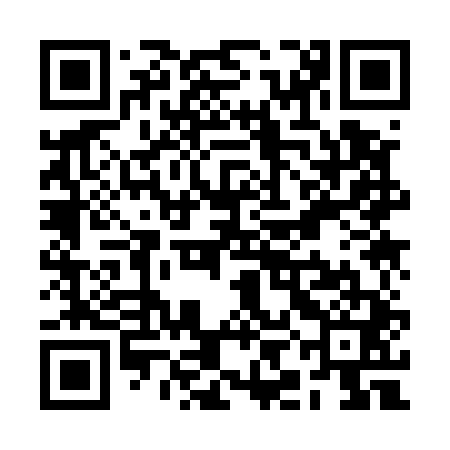 QR code for RIK541