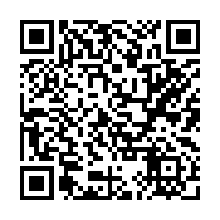 QR code for RIZ991