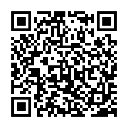 QR code for RLN393