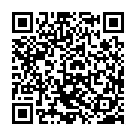 QR code for RPP368
