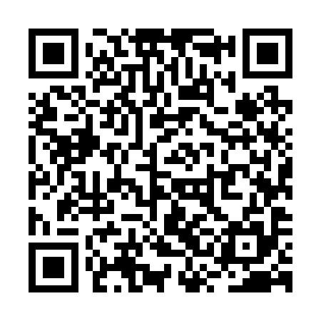 QR code for RSM295