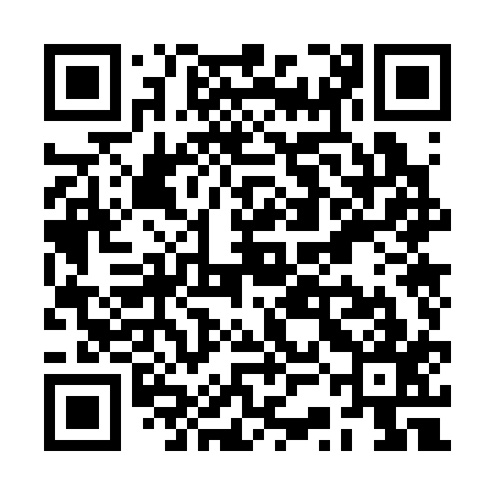 QR code for RSO317