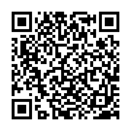 QR code for RYL393