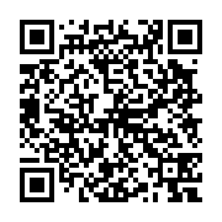 QR code for RZP038