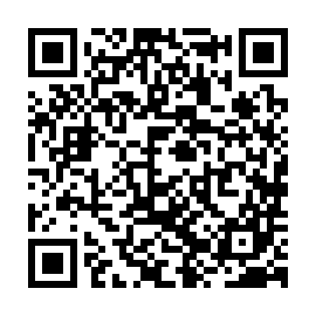QR code for RZX387