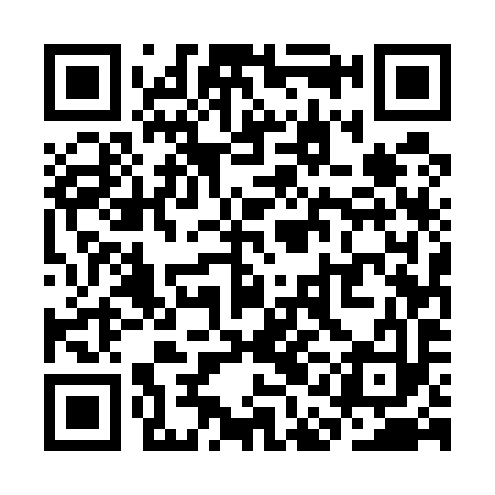 QR code for SAE593