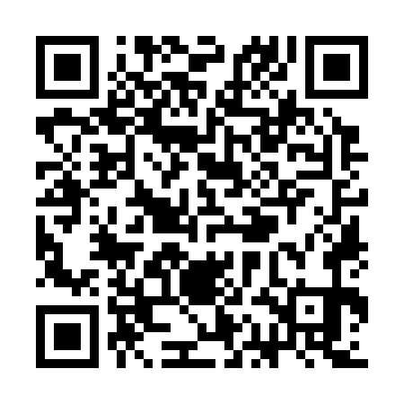 QR code for SAO371