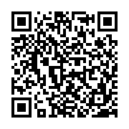 QR code for SAS336