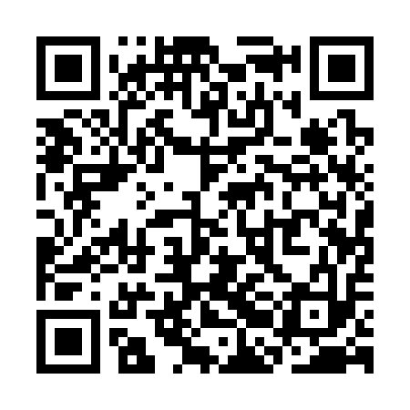 QR code for SBA313