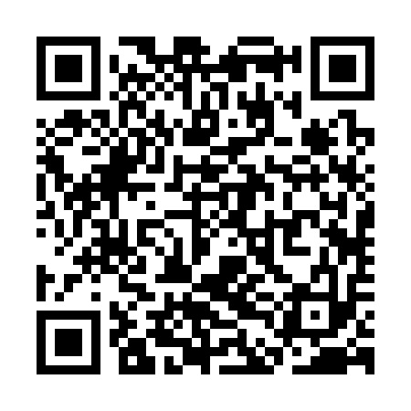 QR code for SDB313