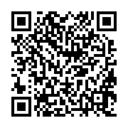 QR code for SDG296