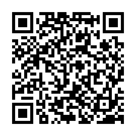 QR code for SFO333