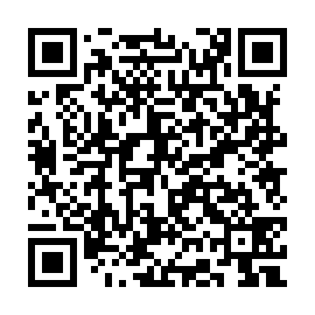 QR code for SGP939