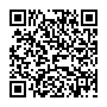 QR code for SOY383