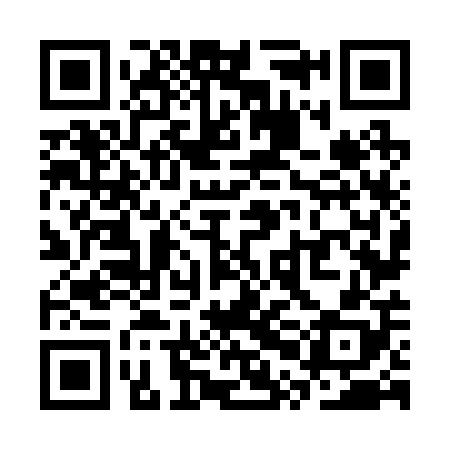 QR code for SPN208