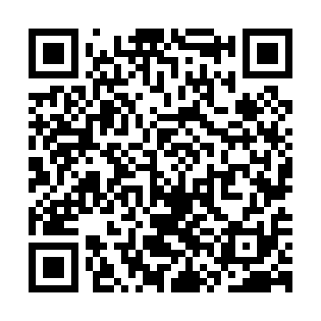 QR code for SVN011