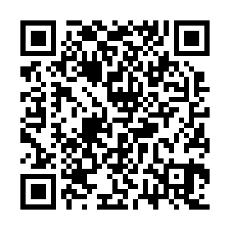 QR code for SWF221