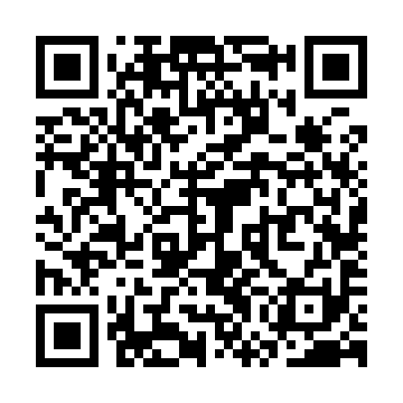 QR code for SWF991