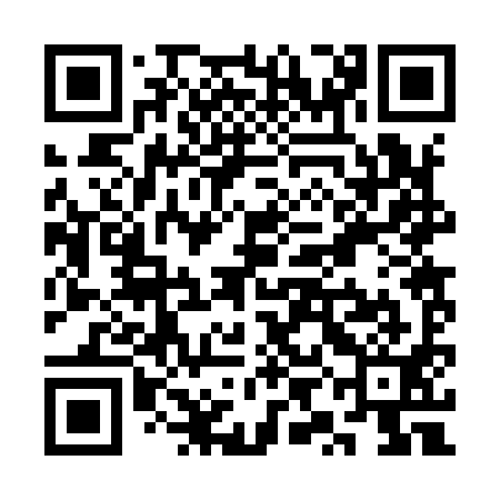 QR code for SYB991