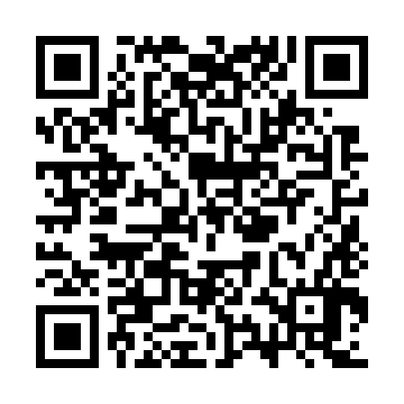 QR code for SYN786