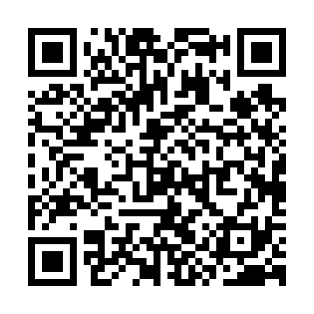 QR code for SYP631