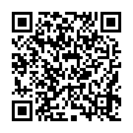 QR code for SYY878