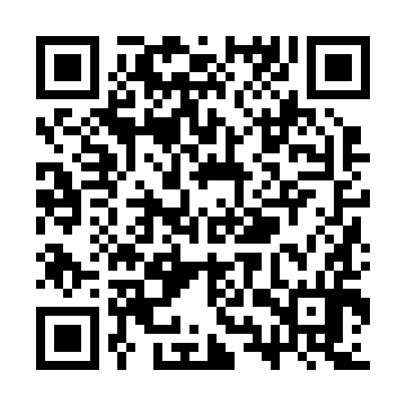 QR code for SYZ294