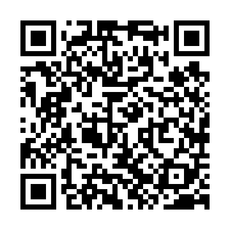 QR code for SZX609