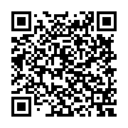 QR code for TDA894
