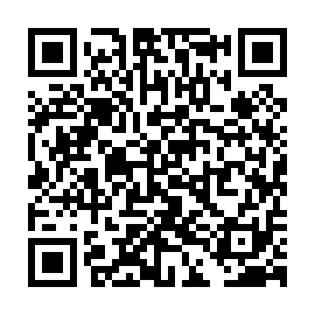 QR code for TDI011
