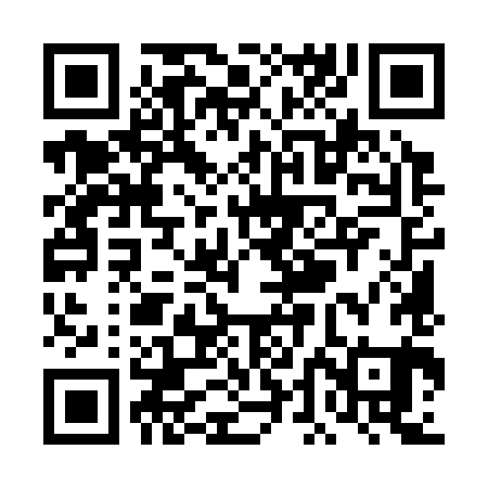 QR code for TDM381