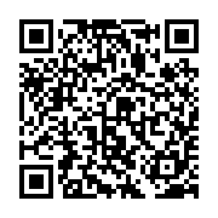 QR code for TES295