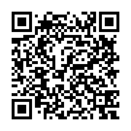 QR code for THI838