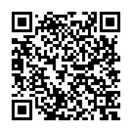 QR code for THZ979