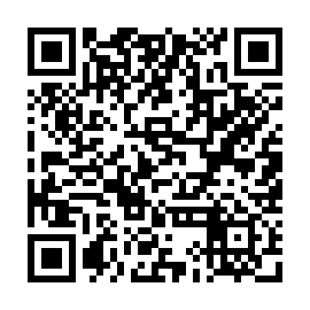 QR code for TIE339