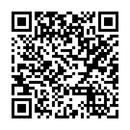 QR code for TIE956