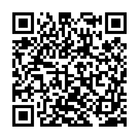 QR code for TIK453