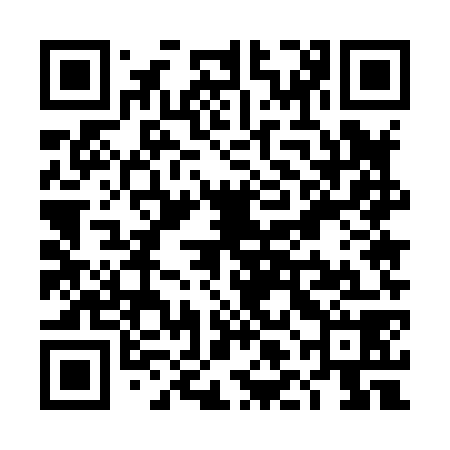 QR code for TLE878