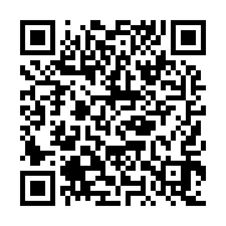 QR code for TOP913