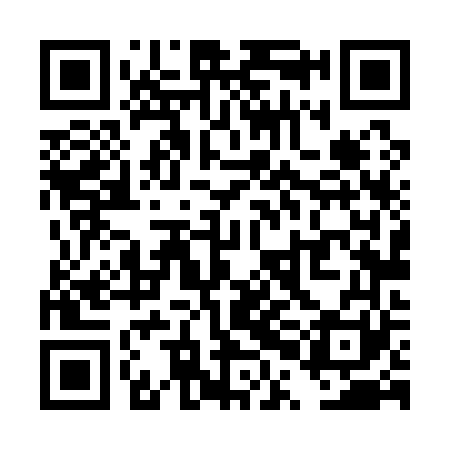 QR code for TPL161