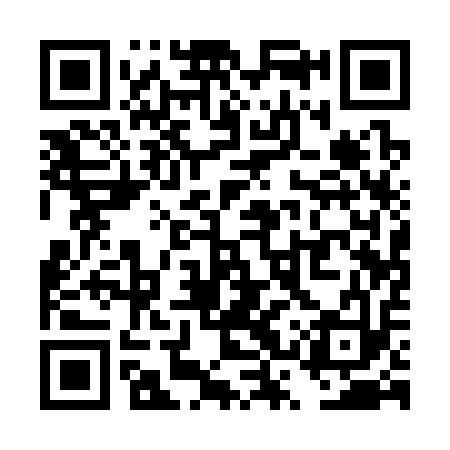 QR code for TSQ313