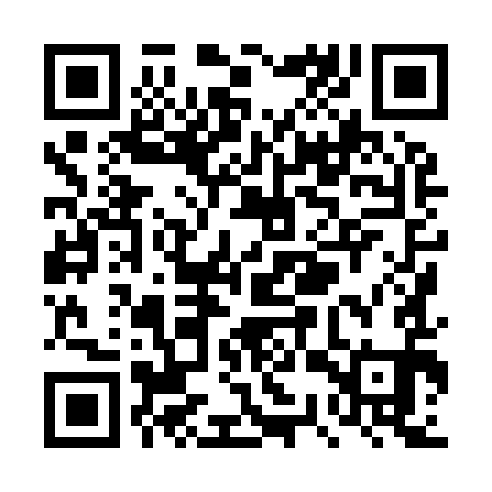 QR code for TSX991
